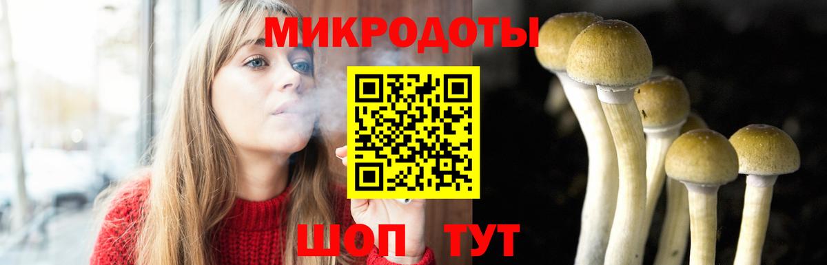 Псилоцибиновые грибы мицелий  Псилоцибиновые грибы Cubensis  Лянтор  Вход с VPN 